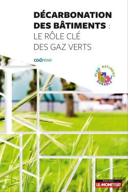 Bertrand.pt - Décarbonation Des Bâtiments : Le Rôle Des Gaz Verts