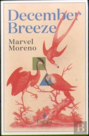 December Breeze