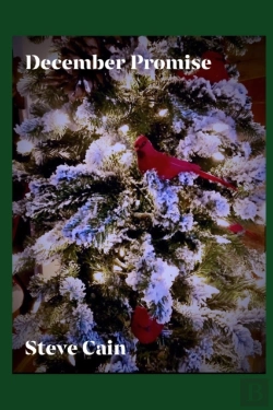 Bertrand.pt - December Promise