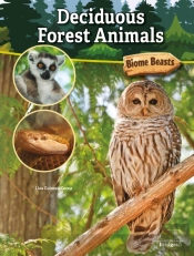Deciduous Forest Animals
