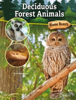 Bertrand.pt - Deciduous Forest Animals