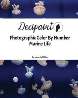 Bertrand.pt - Decipaint: Photographic Color By Number: