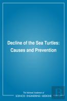 Decline Of The Sea Turtles