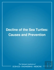 Decline Of The Sea Turtles