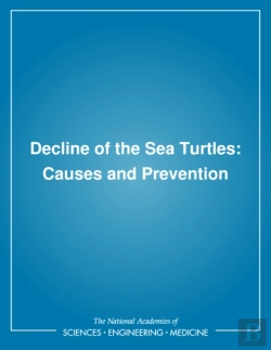 Bertrand.pt - Decline Of The Sea Turtles