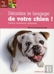 Décodez Le Langage De Votre Chien !