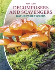 Decomposers And Scavengers