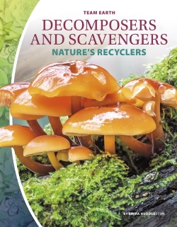 Bertrand.pt - Decomposers And Scavengers