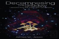 Decomposing The Shadow