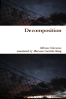 Decomposition