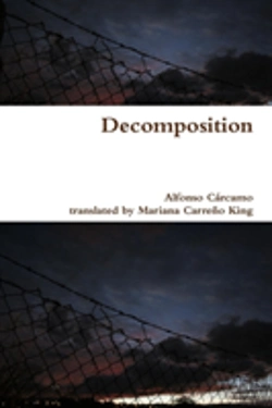 Bertrand.pt - Decomposition
