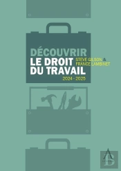 Découvrir Le Droit Du Travail (Édition 2024/2025)
