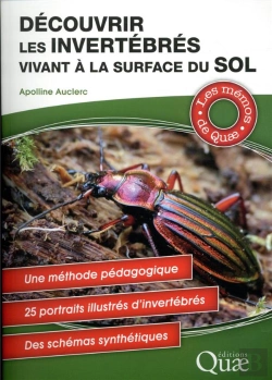 Bertrand.pt - Découvrir Les Invertébrés Vivant À La Surface Du Sol