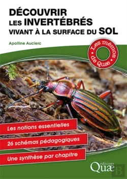 Bertrand.pt - Découvrir Les Invertébrés Vivant À La Surface Du Sol