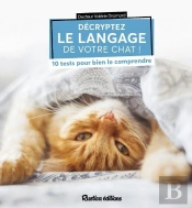 Décryptez Le Langage De Votre Chat ! 10 Tests Pour Bien Le Comprendre
