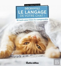 Bertrand.pt - Décryptez Le Langage De Votre Chat ! 10 Tests Pour Bien Le Comprendre