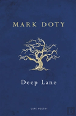 Bertrand.pt - Deep Lane