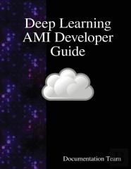 Deep Learning Ami Developer Guide