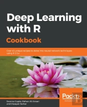 Deep Learning With R Cookbook