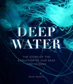 Bertrand.pt - Deep Water