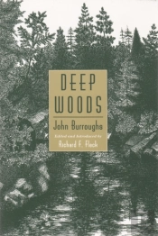 Deep Woods