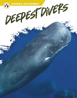 Bertrand.pt - Deepest Divers