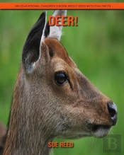 Deer! An Educational Children'S Book About Deer With Fun Facts