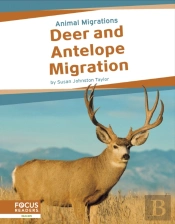 Deer And Antelope Migration