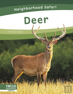 Bertrand.pt - Deer