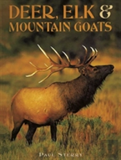 Deer Elk Mountain Goats