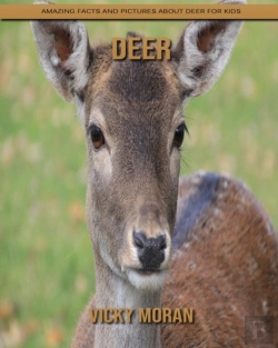 Bertrand.pt - Deer