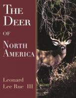 Deer Of North America