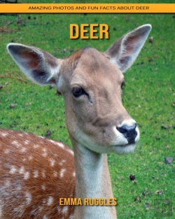 Bertrand.pt - Deer
