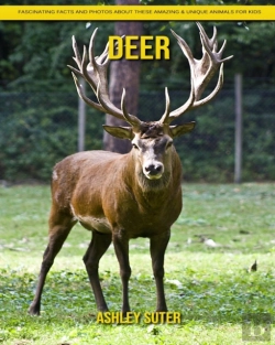 Bertrand.pt - Deer