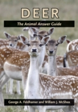 Bertrand.pt - Deer