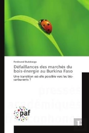 Defaillances Des Marches Du Bois-Energie Au Burkina Faso - Une Transition Est-Elle Possible Vers Les