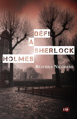 Bertrand.pt - Défi À Sherlock Holmes