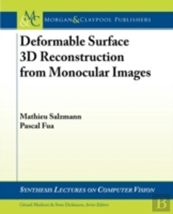 Bertrand.pt - Deformable Surface 3d Reconstruction From Monocular Images