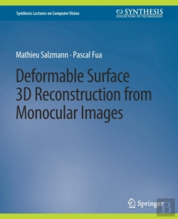 Bertrand.pt - Deformable Surface 3d Reconstruction From Monocular Images