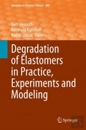 Degradation Of Elastomers In Practice, Experiments And Modeling