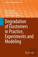 Degradation Of Elastomers In Practice, Experiments And Modeling