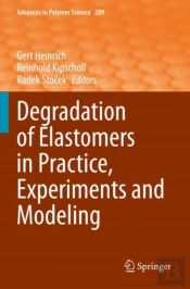 Degradation Of Elastomers In Practice, Experiments And Modeling