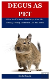 Degus As Pet