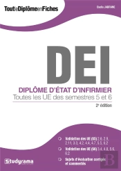 Dei ; Diplôme D'Etat D'Infirmier ; Toutes Les Ue Des Semestres 5 Et 6 (2e Édition)