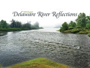 Delaware River Reflections