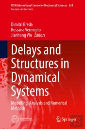 Delays And Structures In Dynamical Systems