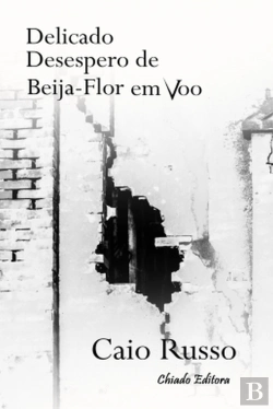 Bertrand.pt - Delicado Desespero de Beija-Flor em Voo