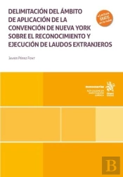 Delimitacion Del Ambito De Aplicacion De La Convencion