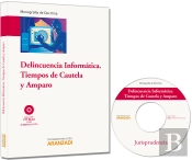 Delincuencia Informática. Tiempos De Cautela Y Amparo