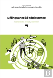 Délinquance À L'Adolescence : Comprendre, Évaluer, Intervenir